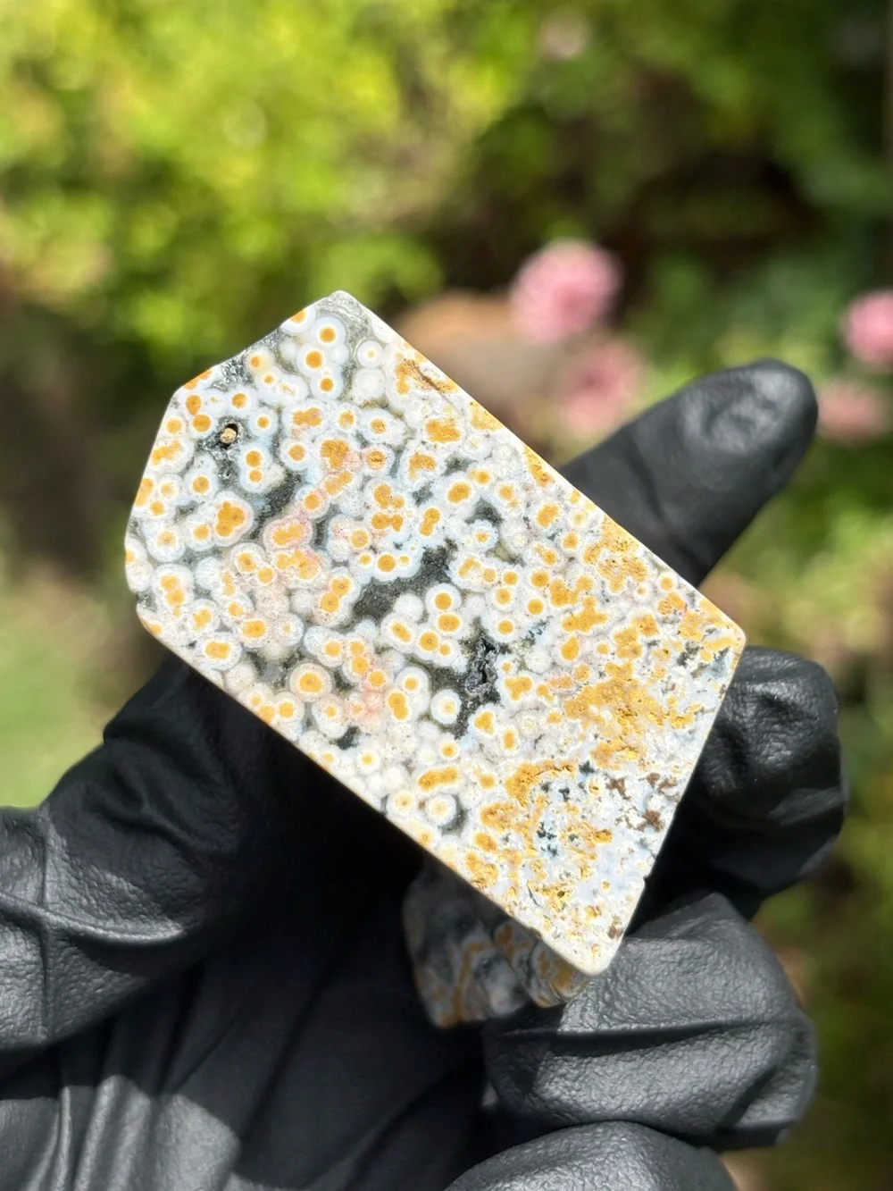 Ocean Jasper Crystal Freeform - Orbicular Jasper - Sea Jasper - Polished